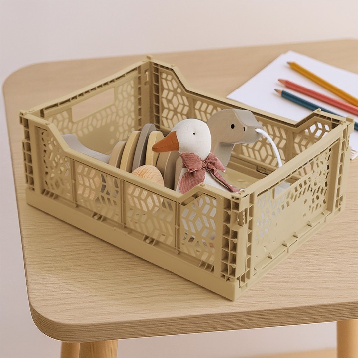 Caisse de rangement pliables en plastique