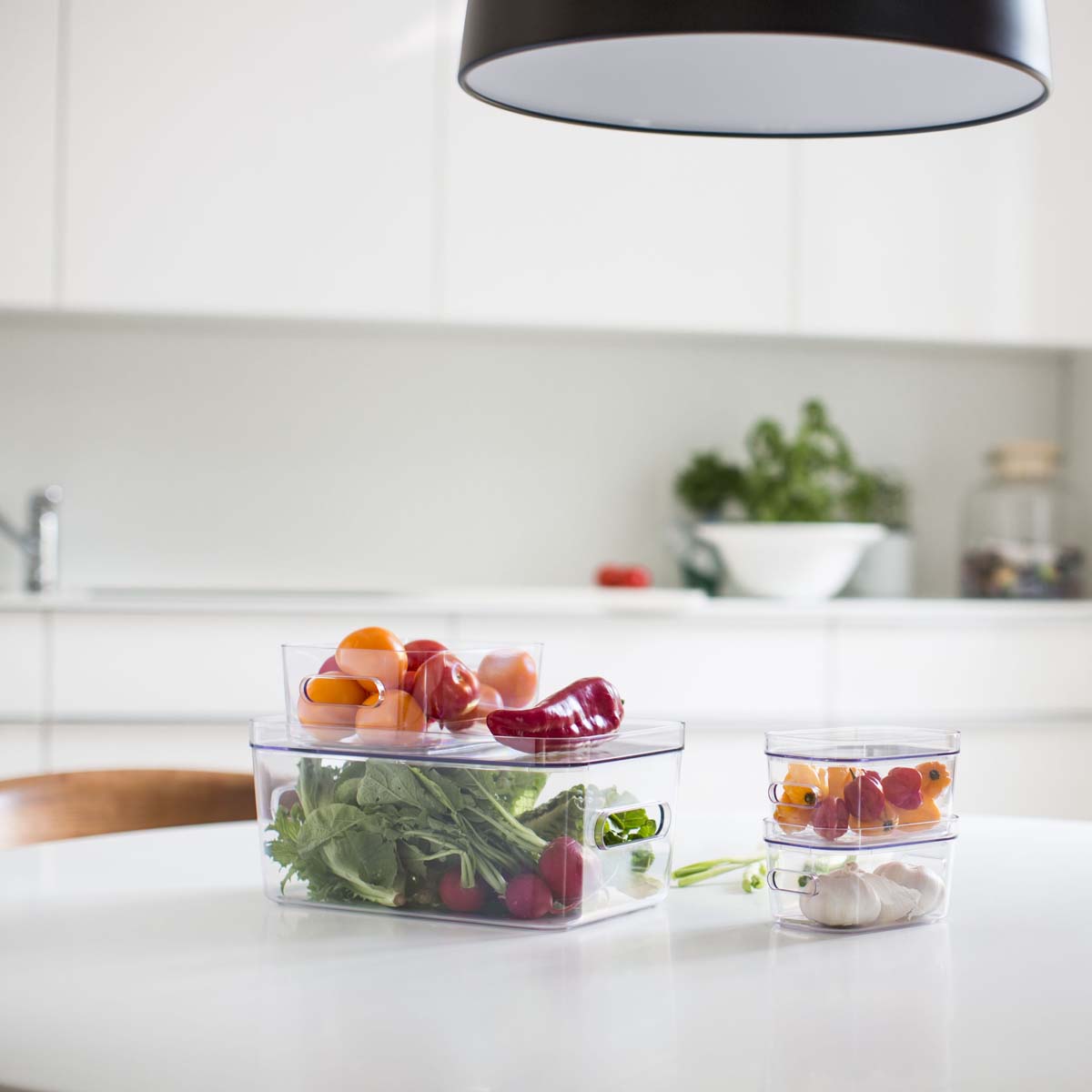 Boîte de rangement transparente pour réfrigérateur M