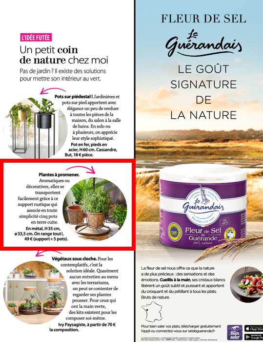 Femme Actuelle Senior Femme Actuelle Senior