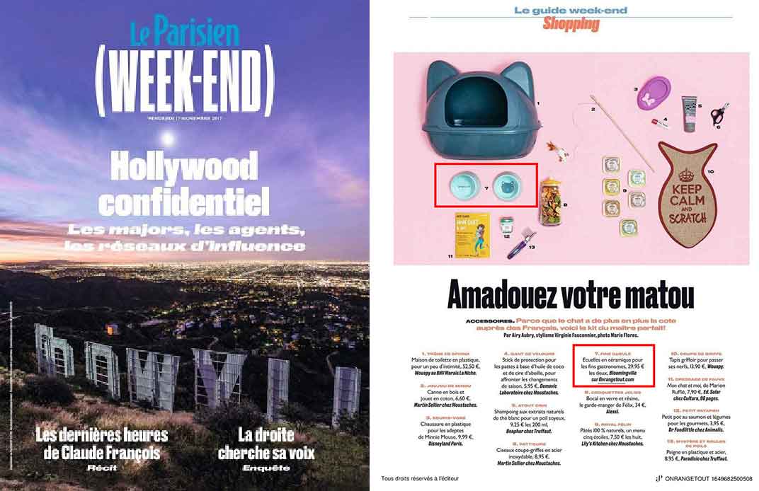Le parisien Magazine presse