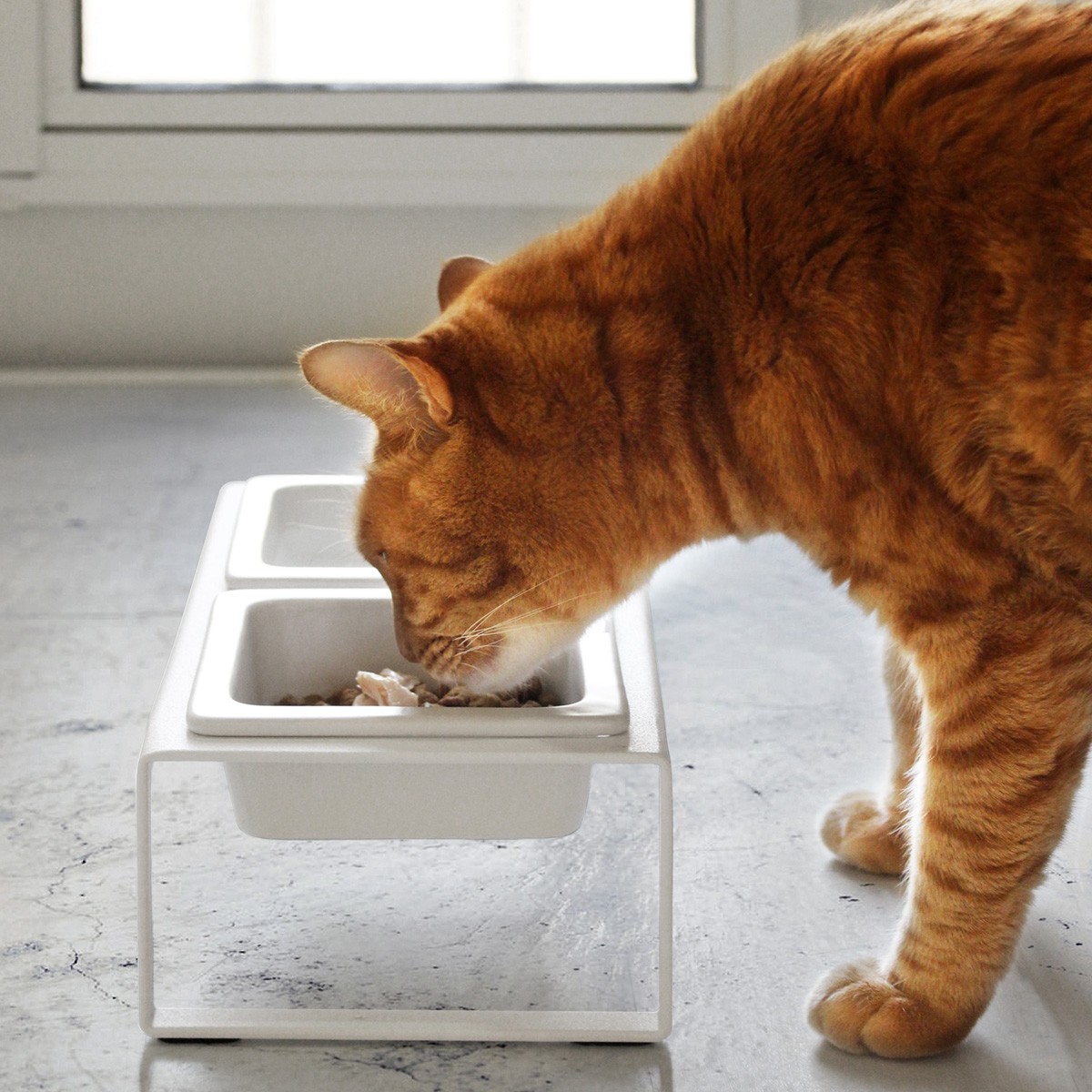 Gamelle double pour chat